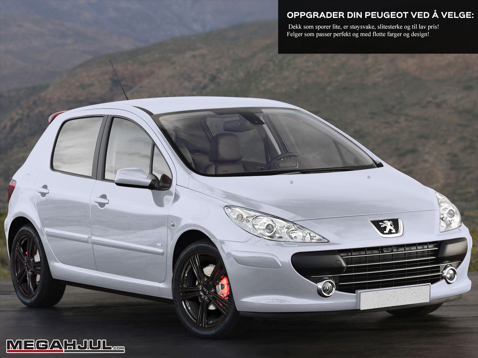 Wheels And Tires For Peugeot 307 01